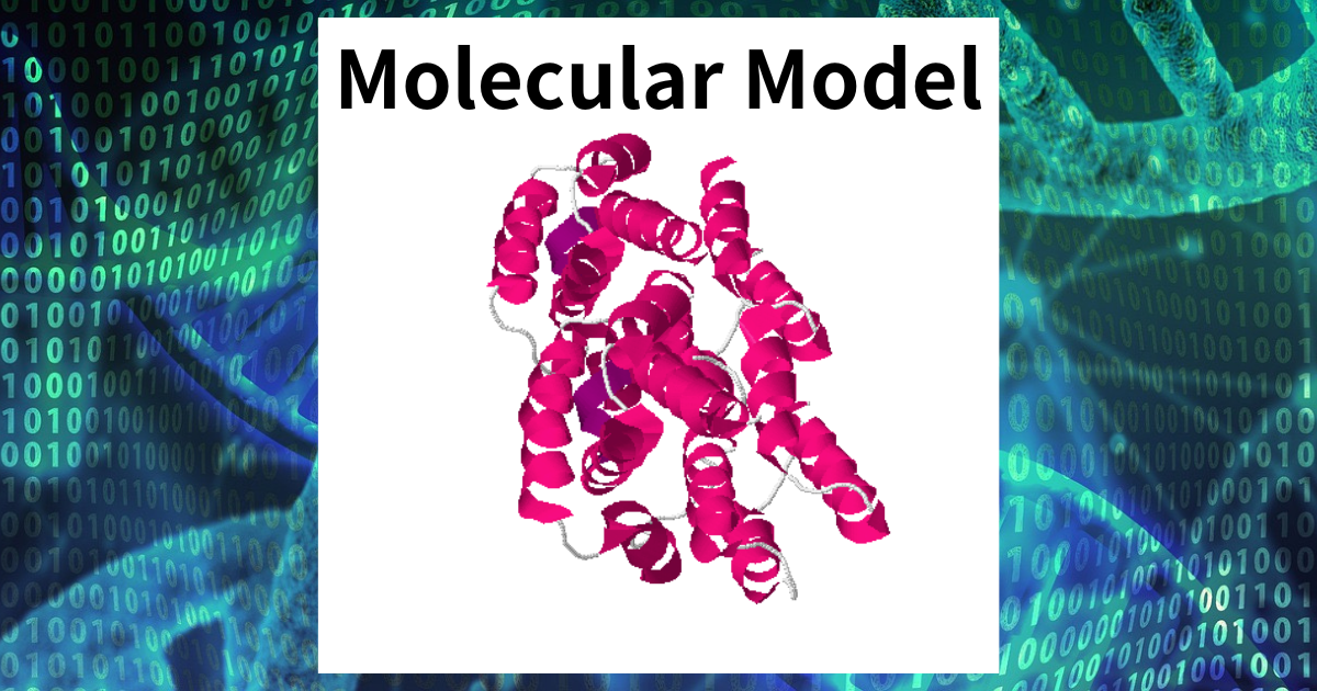 molecular model